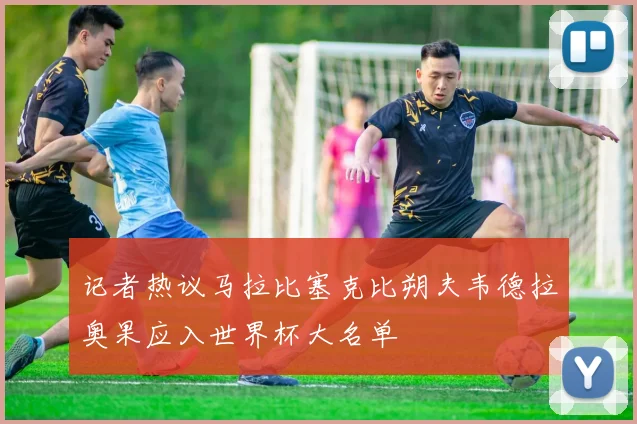 记者热议马拉比塞克比朔夫韦德拉奥果应入世界杯大名单