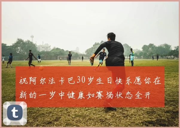 祝阿尔法卡巴30岁生日快乐愿你在新的一岁中健康如赛场状态全开